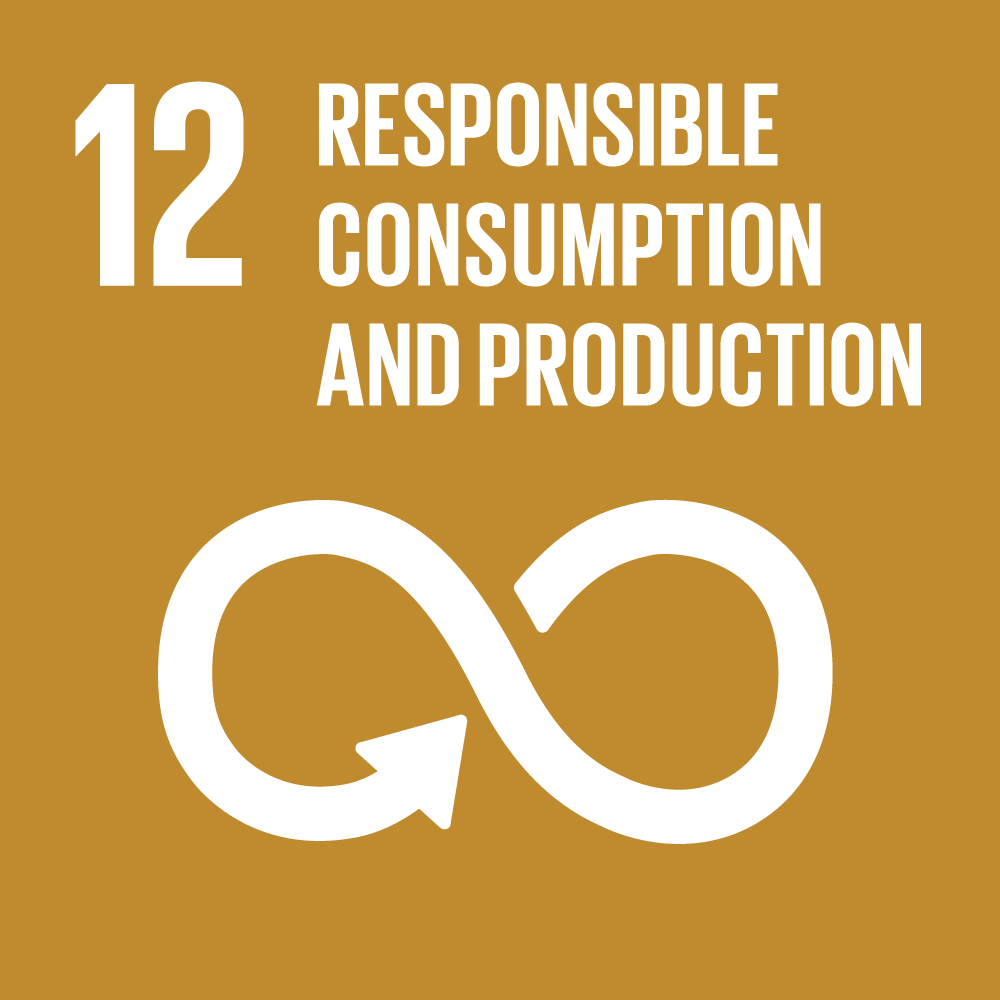12 Responsible Consumption and Production